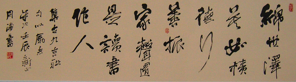 snc10987.jpg