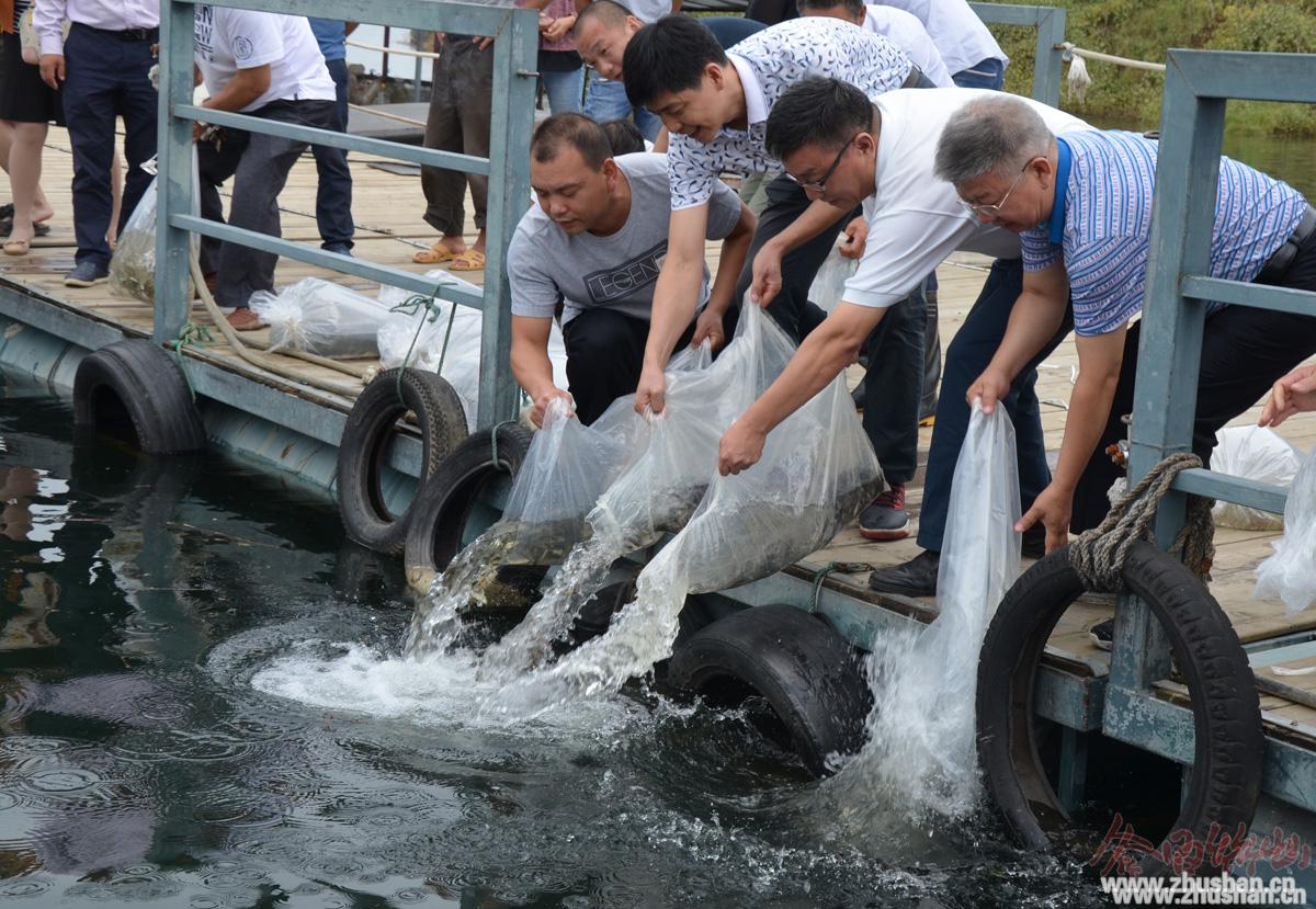 竹山扎实做好堵河库区水生生物保护工作