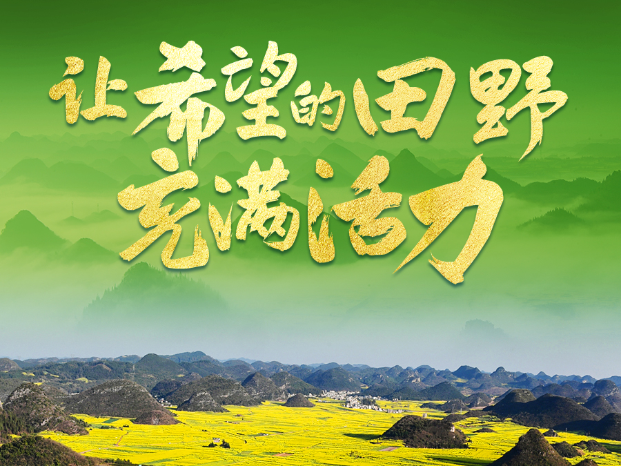 从全国两会看乡村振兴发力点