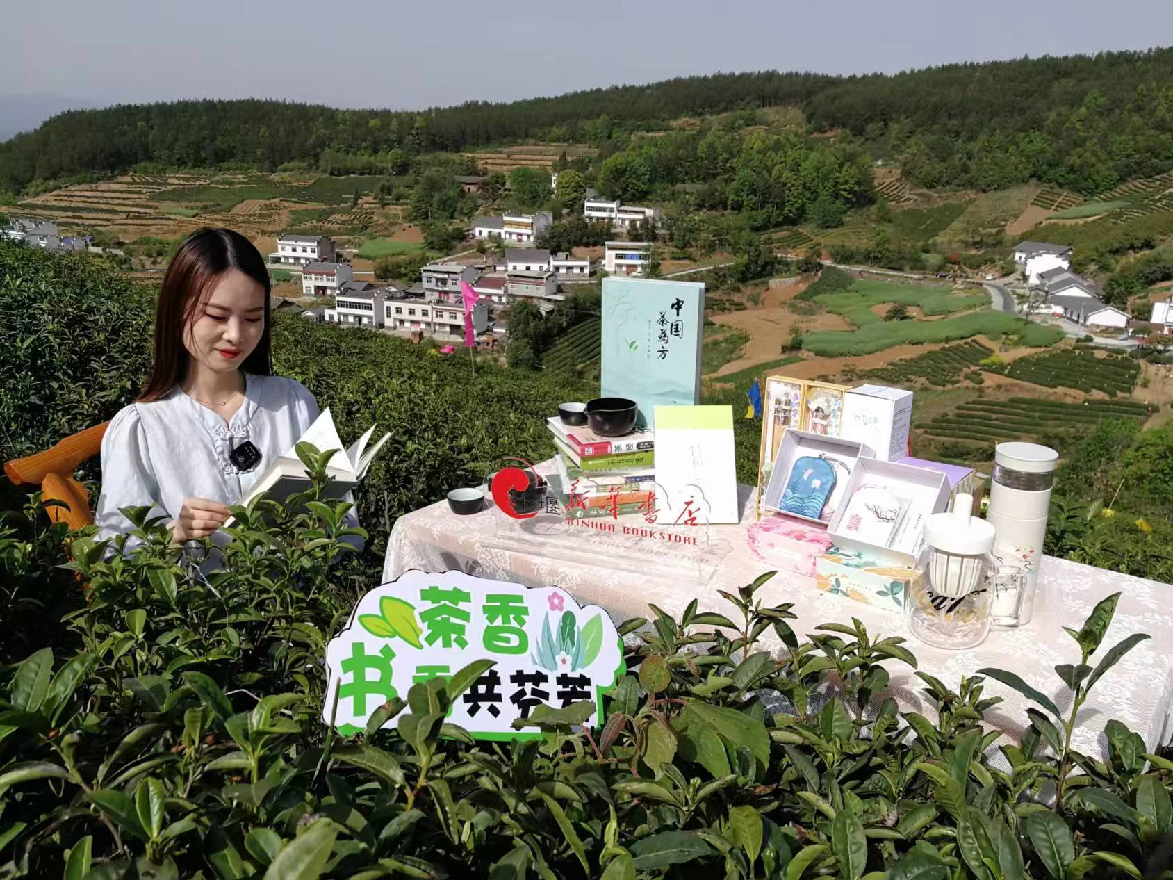 茶园飘书香   阅读进乡村
