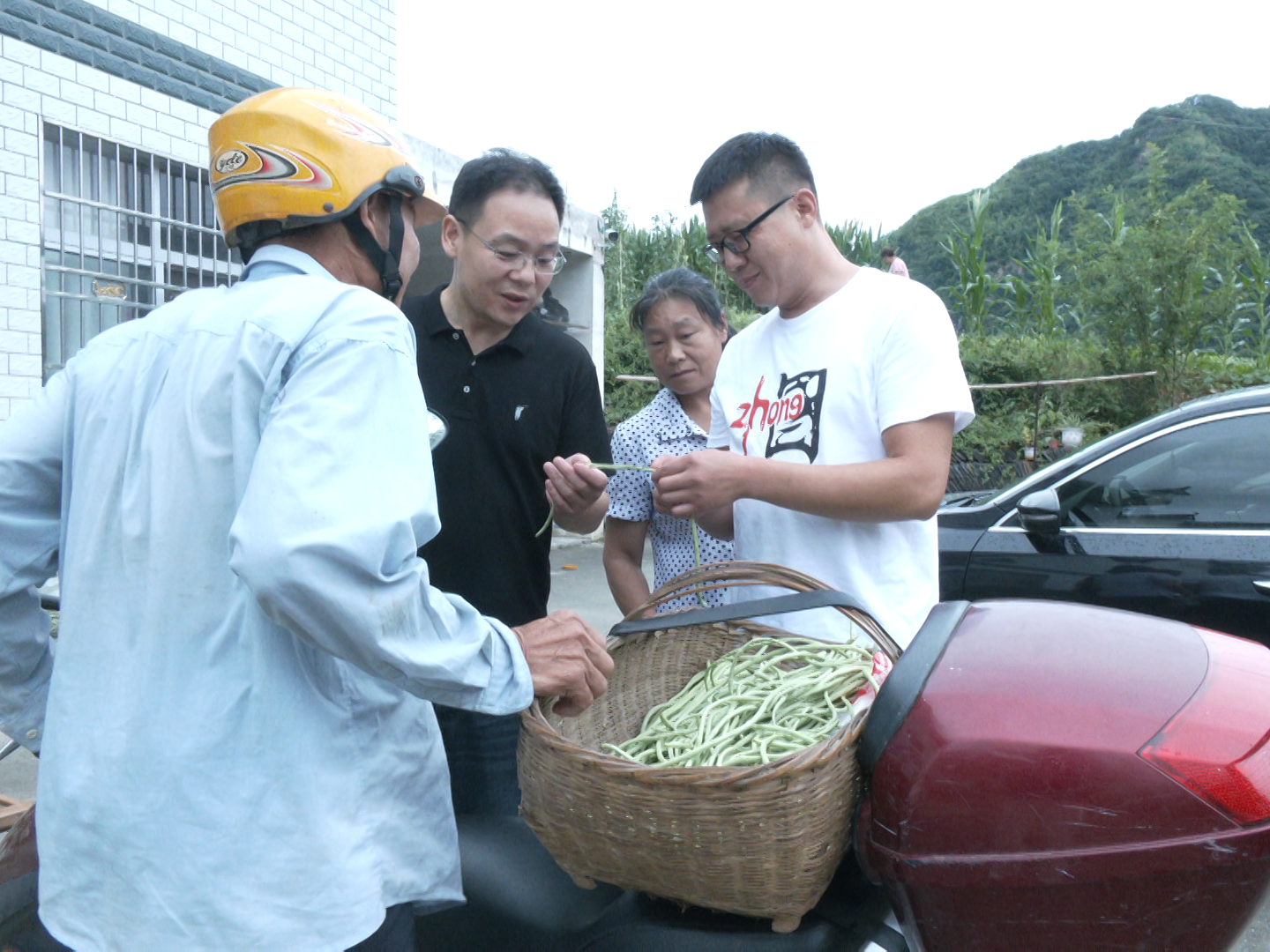 驻村干部巧搭桥 菜农门口快增收