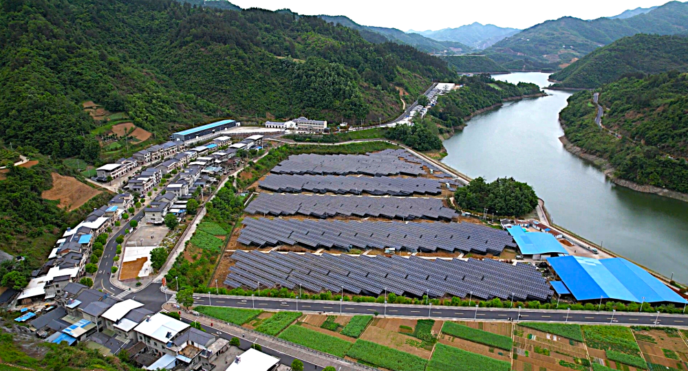 湖北十堰：青山深处“一朵菇” 激活乡村振兴大“蘑”力